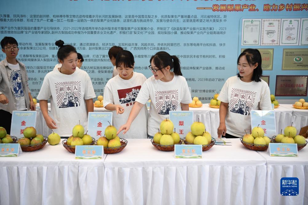 太阳城在线游戏
